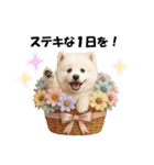 かわいいサモエドの犬スタンプ2(イベント)（個別スタンプ：8）