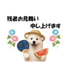 かわいいサモエドの犬スタンプ2(イベント)（個別スタンプ：19）