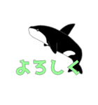 あぷくん 海の生き物スタンプ（個別スタンプ：16）