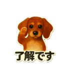 日常に使える！ダックスフントのスタンプ！（個別スタンプ：1）