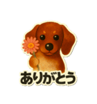 日常に使える！ダックスフントのスタンプ！（個別スタンプ：3）