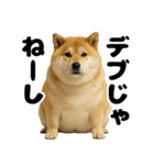 デブな柴犬（個別スタンプ：1）
