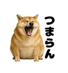 デブな柴犬（個別スタンプ：9）