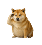 デブな柴犬（個別スタンプ：18）