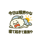 爆笑＆癒し！モコルの関西弁スタンプ16種（個別スタンプ：16）