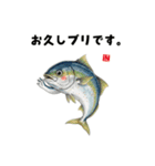 かわいい魚ダジャレスタンプ（個別スタンプ：24）