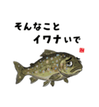 かわいい魚ダジャレスタンプ（個別スタンプ：26）