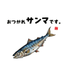 かわいい魚ダジャレスタンプ（個別スタンプ：30）