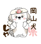 シーズー犬 2025 「岡山弁」（個別スタンプ：1）