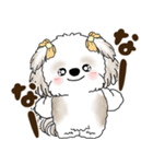 シーズー犬 2025 「岡山弁」（個別スタンプ：2）