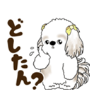 シーズー犬 2025 「岡山弁」（個別スタンプ：3）
