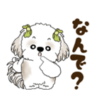 シーズー犬 2025 「岡山弁」（個別スタンプ：4）