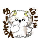シーズー犬 2025 「岡山弁」（個別スタンプ：6）
