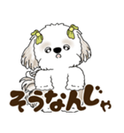 シーズー犬 2025 「岡山弁」（個別スタンプ：7）