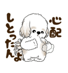 シーズー犬 2025 「岡山弁」（個別スタンプ：8）