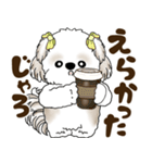 シーズー犬 2025 「岡山弁」（個別スタンプ：9）