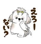 シーズー犬 2025 「岡山弁」（個別スタンプ：10）