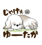 シーズー犬 2025 「岡山弁」（個別スタンプ：11）
