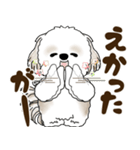シーズー犬 2025 「岡山弁」（個別スタンプ：12）