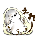 シーズー犬 2025 「岡山弁」（個別スタンプ：13）