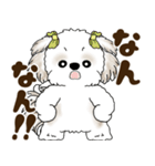シーズー犬 2025 「岡山弁」（個別スタンプ：15）