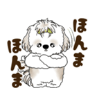 シーズー犬 2025 「岡山弁」（個別スタンプ：17）