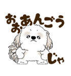 シーズー犬 2025 「岡山弁」（個別スタンプ：19）