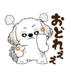 シーズー犬 2025 「岡山弁」（個別スタンプ：20）