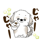 シーズー犬 2025 「岡山弁」（個別スタンプ：21）