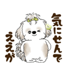 シーズー犬 2025 「岡山弁」（個別スタンプ：23）