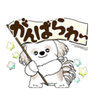 シーズー犬 2025 「岡山弁」（個別スタンプ：25）