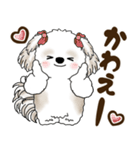 シーズー犬 2025 「岡山弁」（個別スタンプ：26）