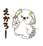 シーズー犬 2025 「岡山弁」（個別スタンプ：27）