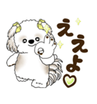 シーズー犬 2025 「岡山弁」（個別スタンプ：28）
