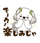 シーズー犬 2025 「岡山弁」（個別スタンプ：31）