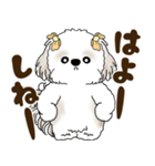シーズー犬 2025 「岡山弁」（個別スタンプ：33）