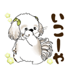 シーズー犬 2025 「岡山弁」（個別スタンプ：34）