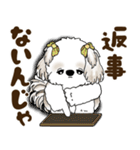 シーズー犬 2025 「岡山弁」（個別スタンプ：40）