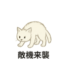 真っ白和風猫（個別スタンプ：5）