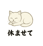 真っ白和風猫（個別スタンプ：6）