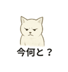 真っ白和風猫（個別スタンプ：9）