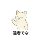 真っ白和風猫（個別スタンプ：10）