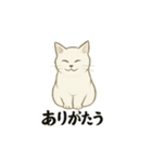 真っ白和風猫（個別スタンプ：12）