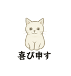 真っ白和風猫（個別スタンプ：13）