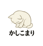 真っ白和風猫（個別スタンプ：14）