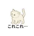 真っ白和風猫（個別スタンプ：15）