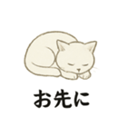 真っ白和風猫（個別スタンプ：17）