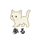 真っ白和風猫（個別スタンプ：19）