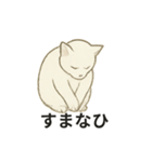 真っ白和風猫（個別スタンプ：21）