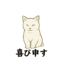 真っ白和風猫（個別スタンプ：22）
